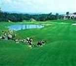 �����{���J���g���[�N���u